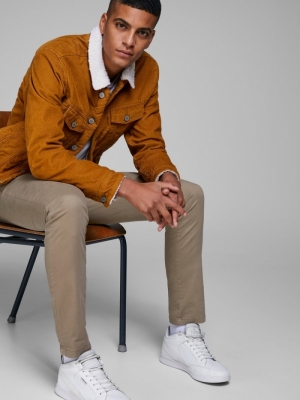 12150160 beige