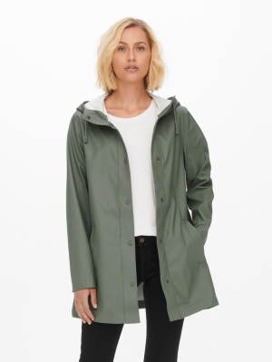 15234052 agave green