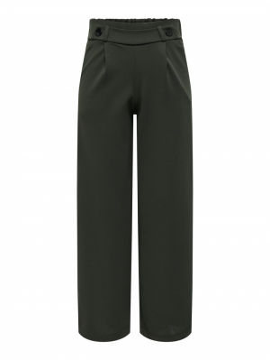 JDYGEGGO NEW LONG PANT JRS NOO 186898001 Peat/