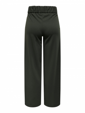 JDYGEGGO NEW LONG PANT JRS NOO 186898001 Peat/