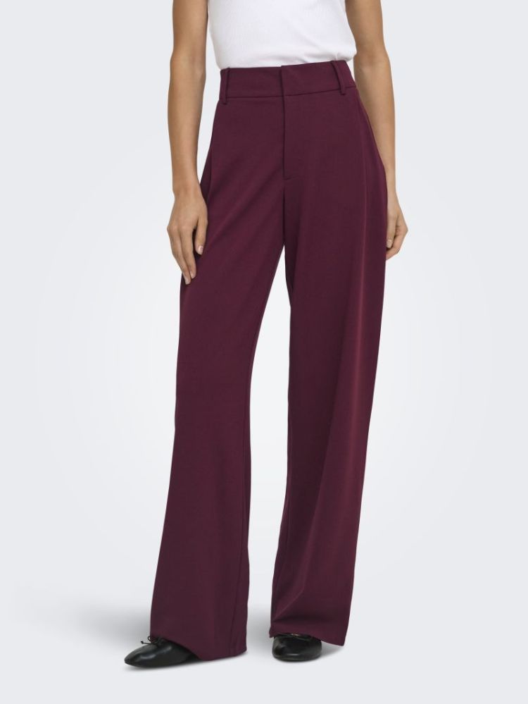 JDYGEGGO LIFE OCCASION PANT JR 193785 Windsor