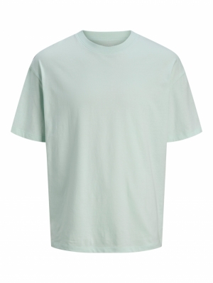 JJEBRADLEY TEE SS O-NECK NOOS 177574 Skylight