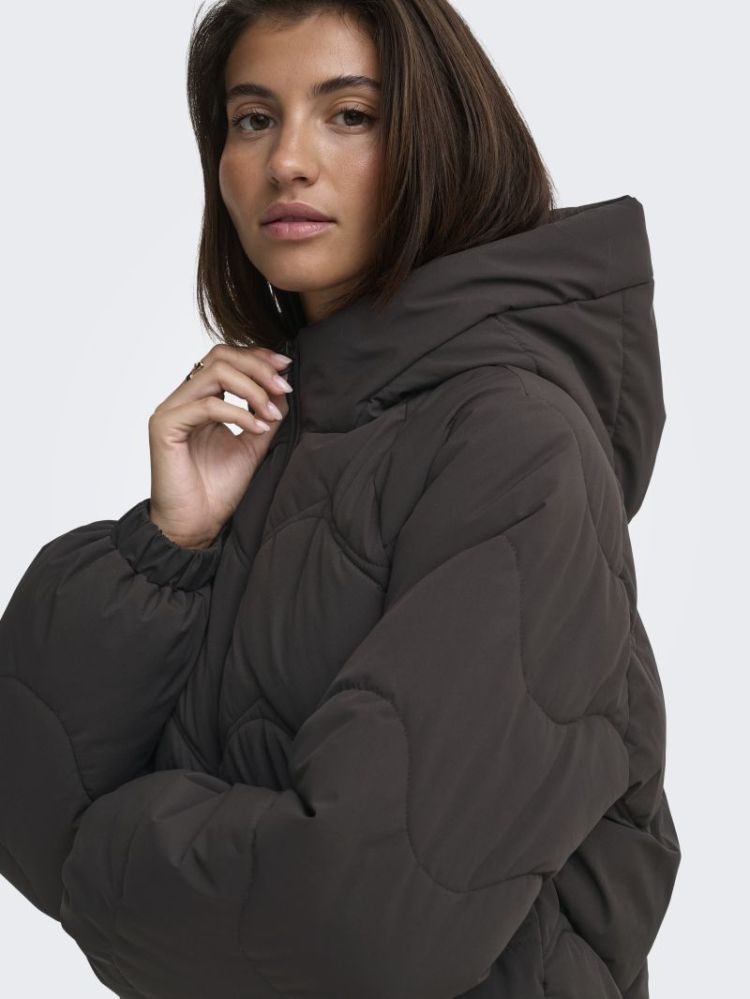 JDYPOWER SHORT HOOD PUFFER OTW 244915 Chocolat