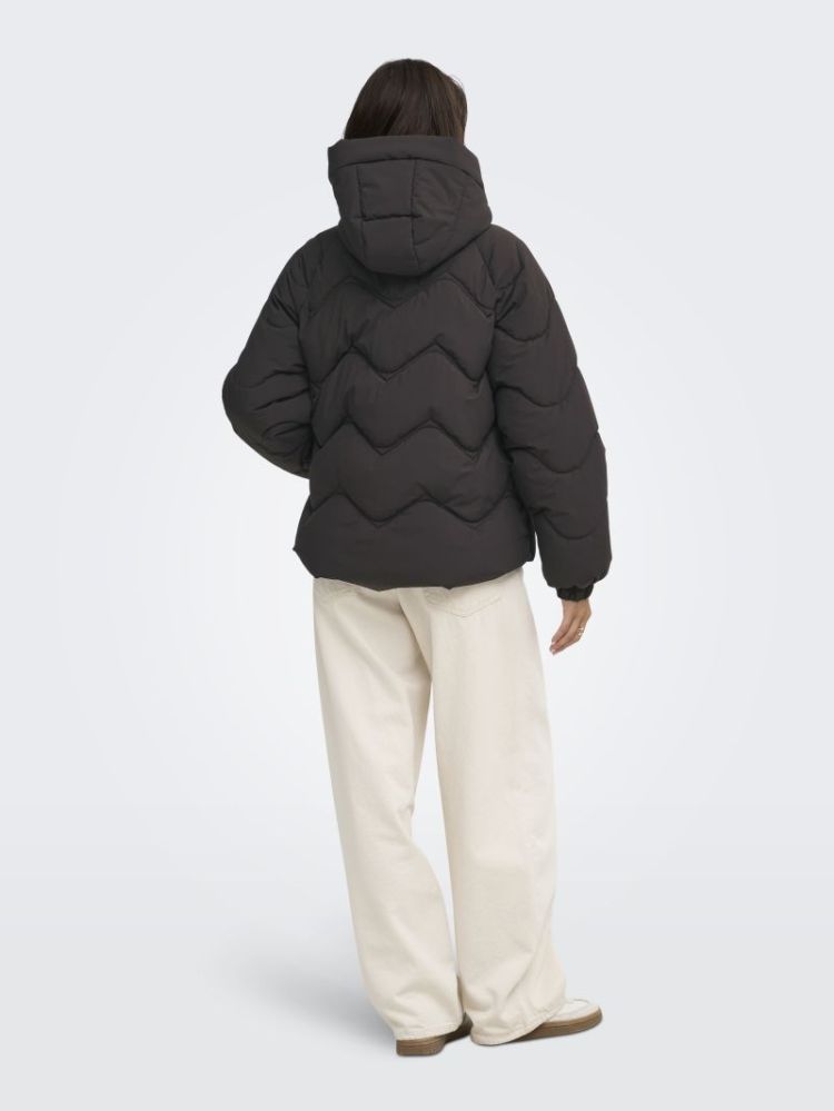 JDYPOWER SHORT HOOD PUFFER OTW 244915 Chocolat