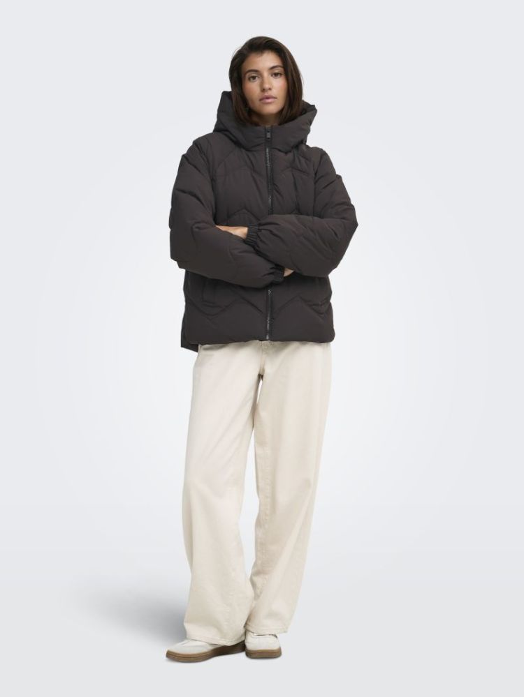 JDYPOWER SHORT HOOD PUFFER OTW 244915 Chocolat