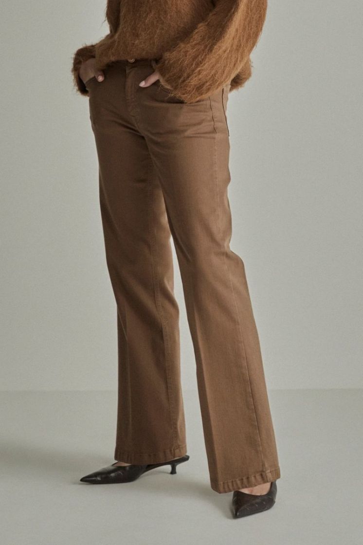 Eve wonder  204 camel